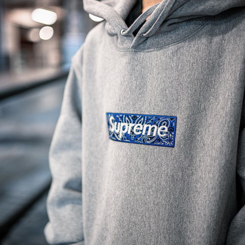 Supreme - Supreme(シュプリーム)パーカー/Blocks Hooded/M/総柄の+