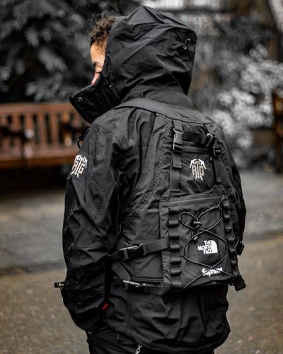 Supreme  The North Face   RTG Vest